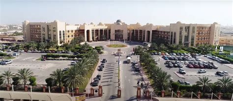 ajman university courses.
